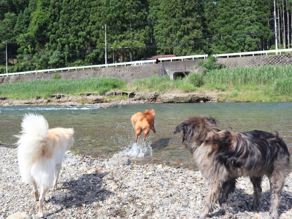 脳内メーカー 癒し癒されニライカナイ