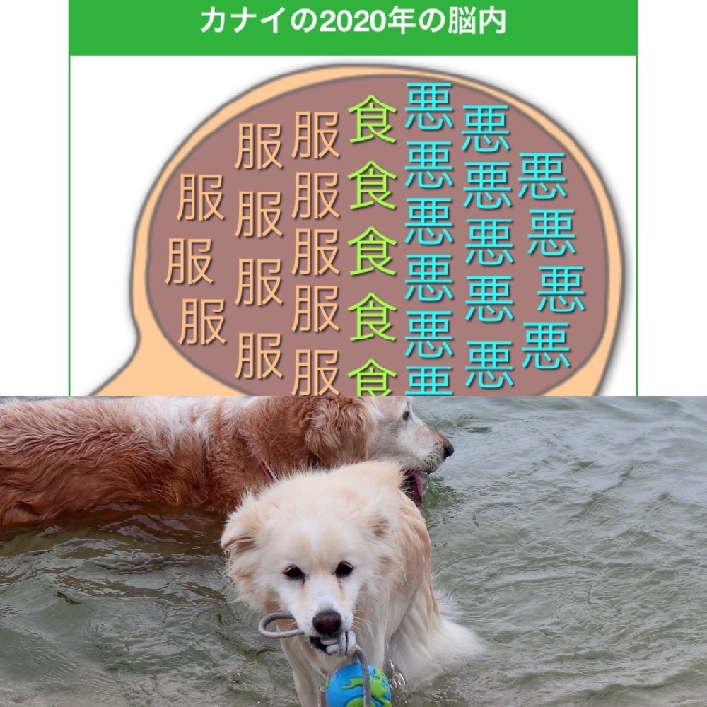 脳内メーカー 癒し癒されニライカナイ