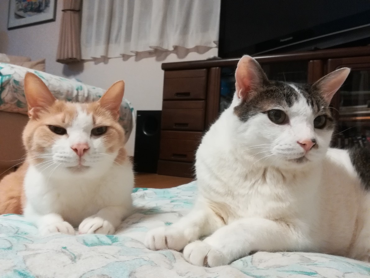 スグル、いってらっしゃい。またね。_e0171874_19365753.jpg