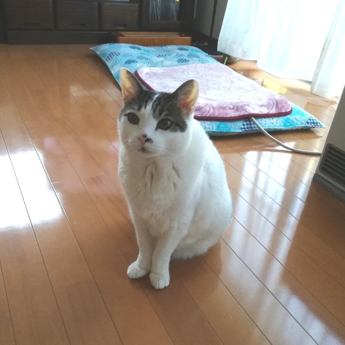 スグル、いってらっしゃい。またね。_e0171874_19483153.jpg