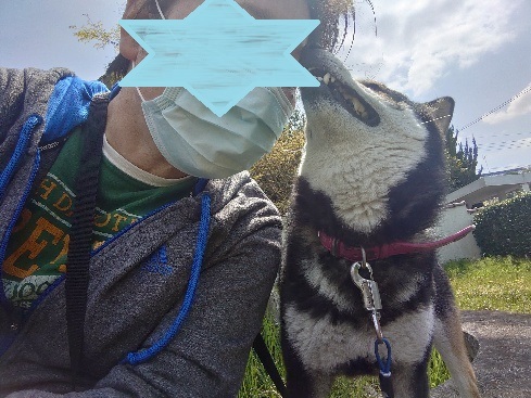 あいつ今何してる?(卒業犬猫たち)_f0242002_15094923.jpg