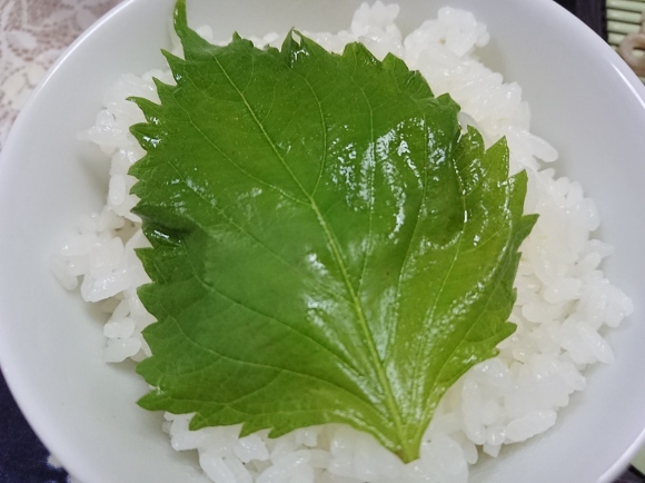 7/11夜勤前飯 ざるそば&大葉の浅漬けご飯@自宅_b0042308_19120003.jpg