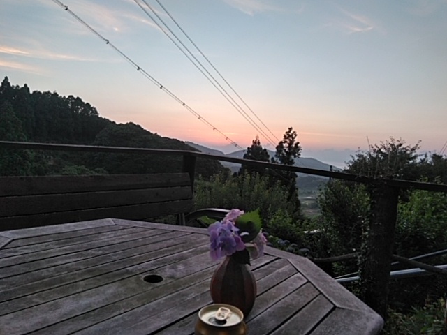 一生懸命咲いてくれて、ありがとう💕_c0280108_21172416.jpg
