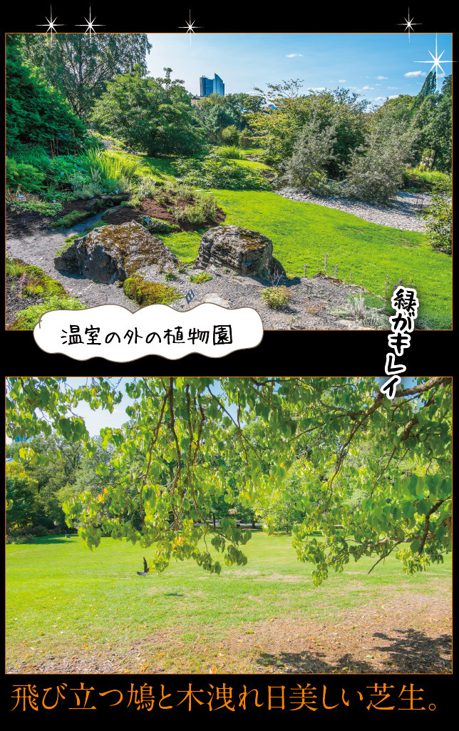 アート旅行に行こう!その77_a0358016_11121800.jpg