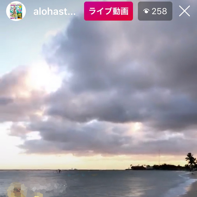 パンダのお気に入り パンダのお気に入り