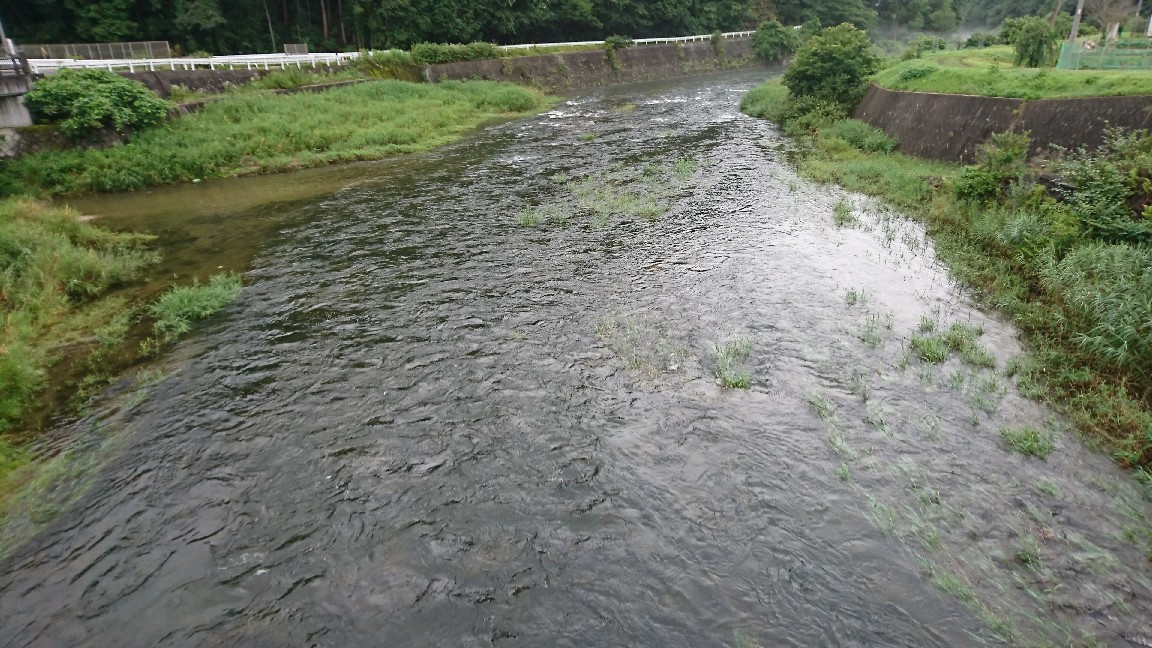 7月11日河川情報。午前..._c0266737_06035293.jpg