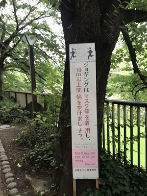 巣籠中の散歩_e0090555_11362827.jpg
