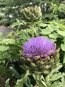 巣籠中の散歩_e0090555_14191730.jpg