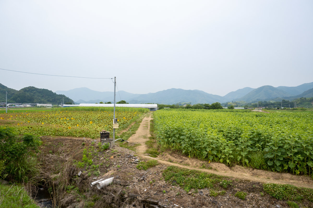 グロムで、須崎～土佐市へ その1_a0077663_15524988.jpg