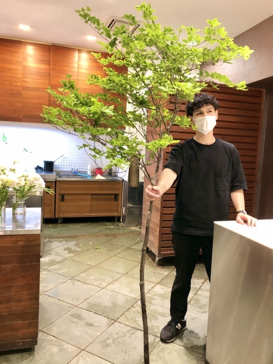 お教室の準備中_b0060363_22390389.jpeg