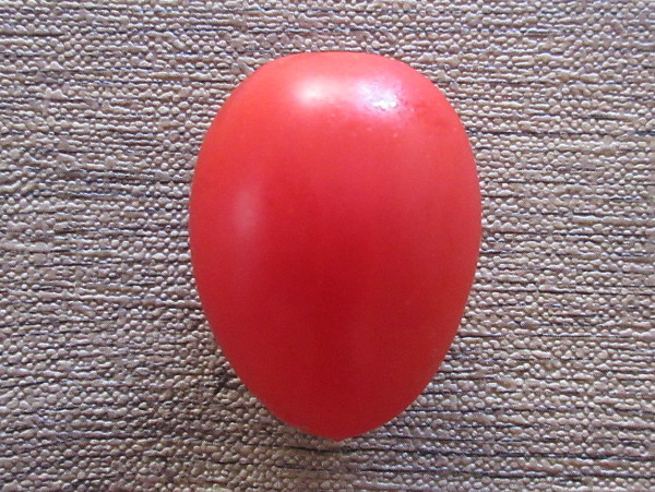 アイコ_c0152767_15361791.jpg