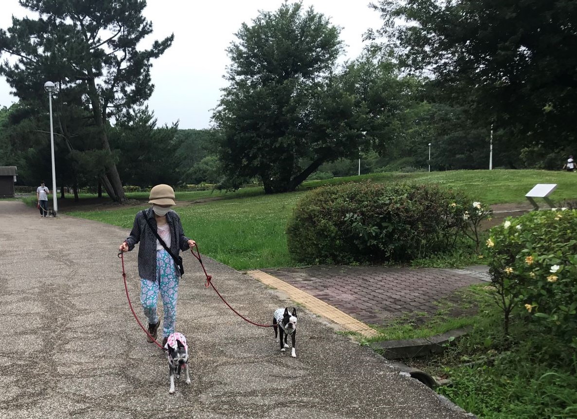 服部緑地公園散歩 Nico O 笑顔 にこ 日記 服部緑地公園散歩 Nico O 笑顔 にこ 日記