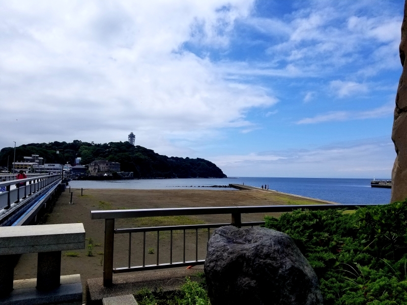 第4843回 女子野球。_d0381882_20453256.jpg