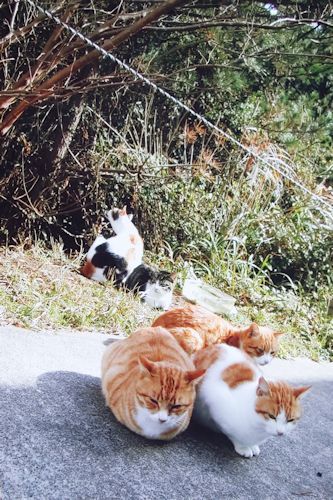 ★ Les phares de CHIBA_a0278092_16134999.jpg