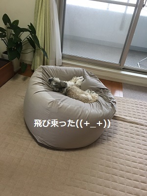 今日も王子の病院デー。_f0372998_21223269.jpg