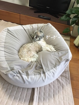 今日も王子の病院デー。_f0372998_21224041.jpg