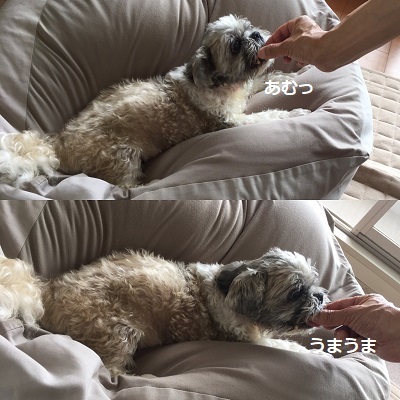 今日も王子の病院デー。_f0372998_21225434.jpg