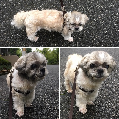 今日も王子の病院デー。_f0372998_21231408.jpg