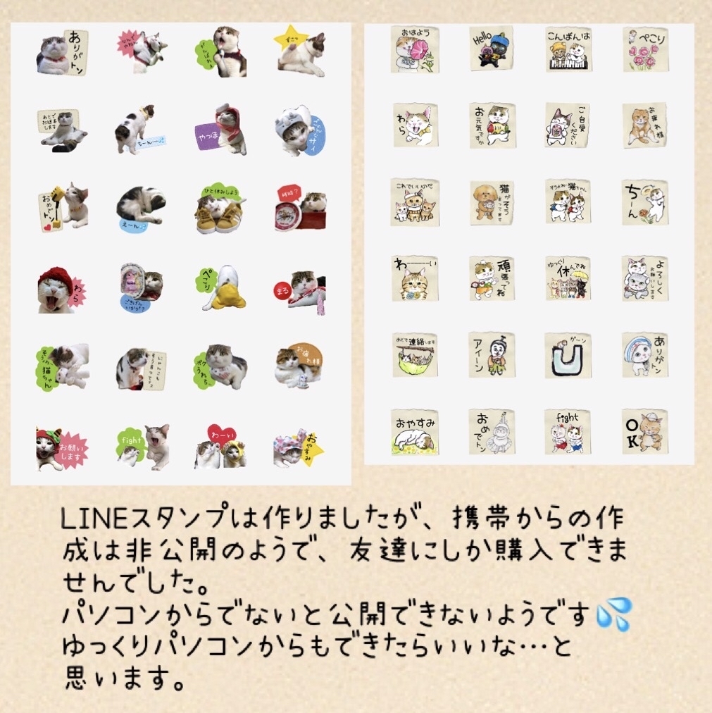 マリーゴールド たんたんいこちゃんもずくちゃん_f0375804_08154803.jpg