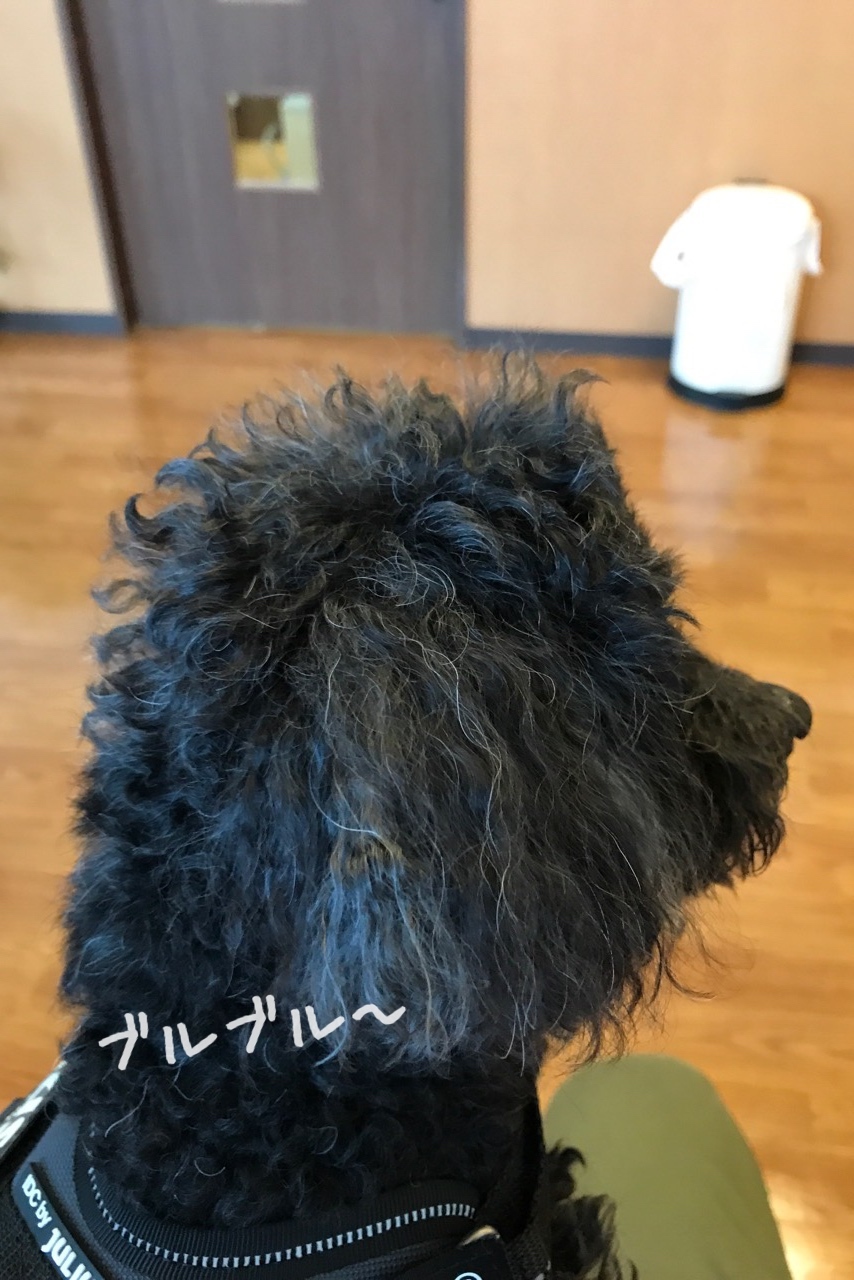 ドライアイ!_e0340223_23114691.jpg