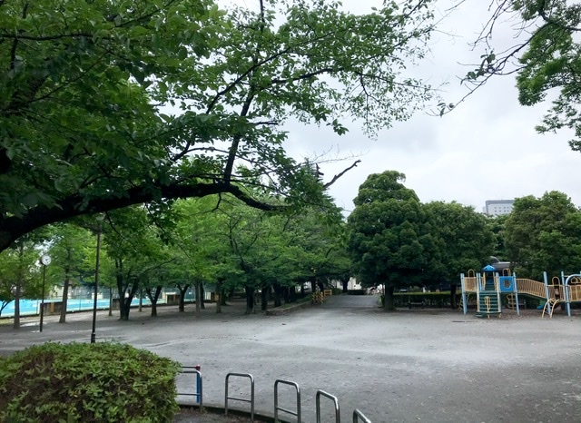 雨上がりの花々　_e0407734_11484808.jpeg