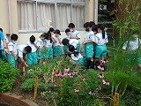 小学校ハーブ化計画　川原小①_f0167635_00011596.jpg