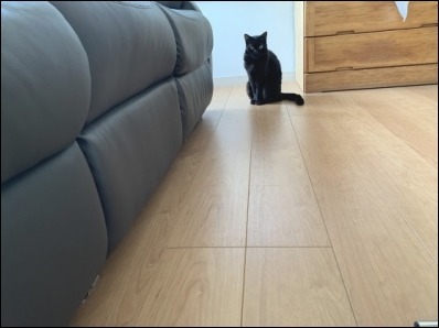 なんですか? その2_b0300759_09065052.jpeg