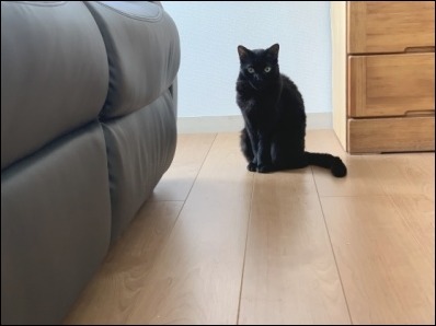 なんですか? その2_b0300759_09065611.jpeg