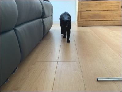 なんですか? その2_b0300759_09071098.jpeg