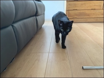 なんですか? その2_b0300759_09071997.jpeg