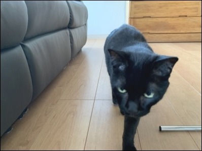 なんですか? その2_b0300759_09072537.jpeg