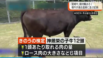 宮崎牛種牛 過去最高の品質記録 ほぼてっちゃんの日記