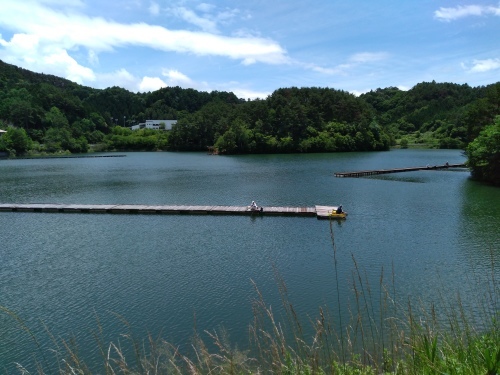美鈴湖 アジエンスの放浪と釣り 函館 美鈴湖 アジエンスの放浪と釣り 函館