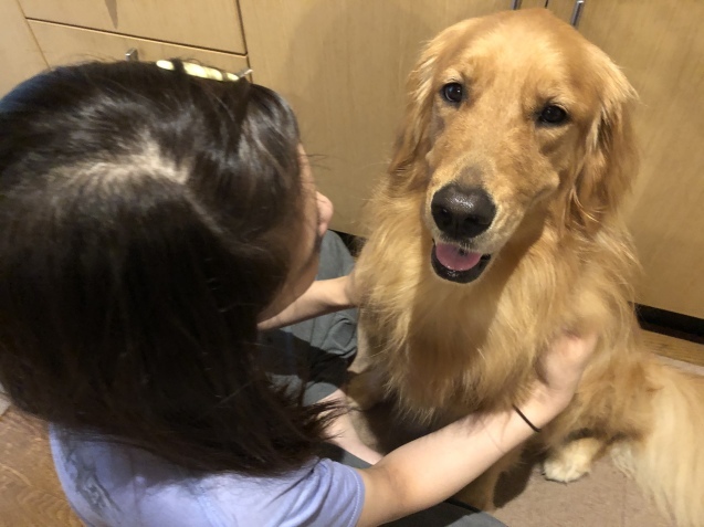 vs ストレス。_a0394574_22191627.jpeg