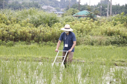 第１６回　米酒の会　＃2　生き物観察と草取り　2020年7月_d0171387_21113122.jpg