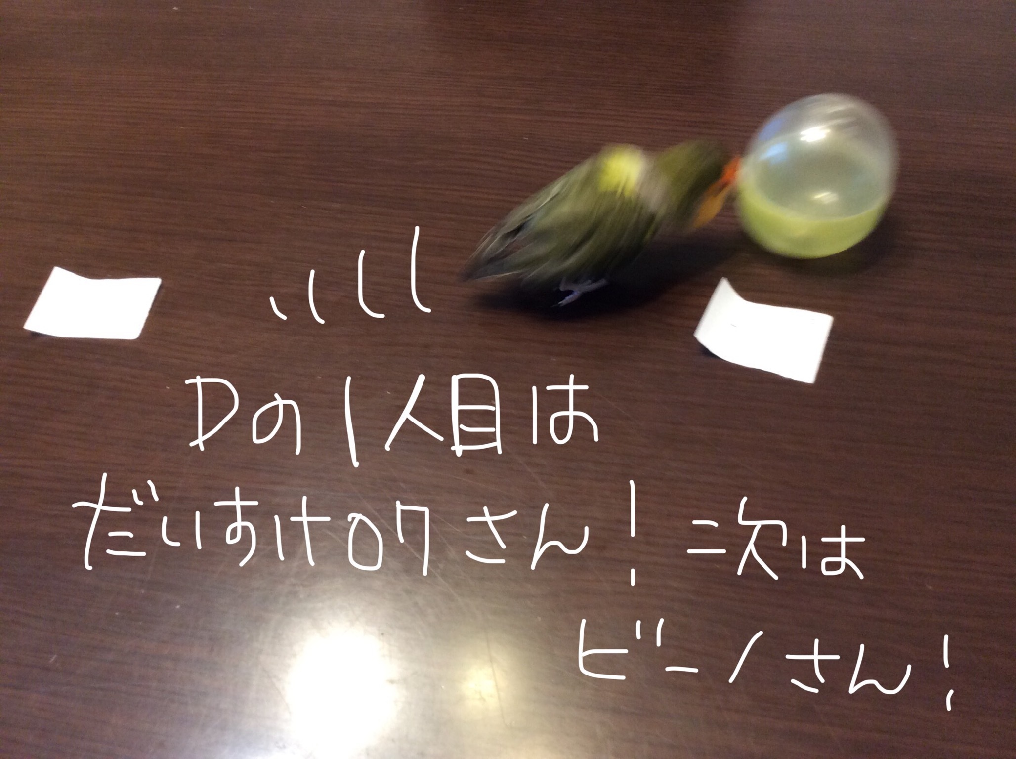 7月の通販ポンタロウ抽選・結果発表です!_d0123492_10474617.jpeg