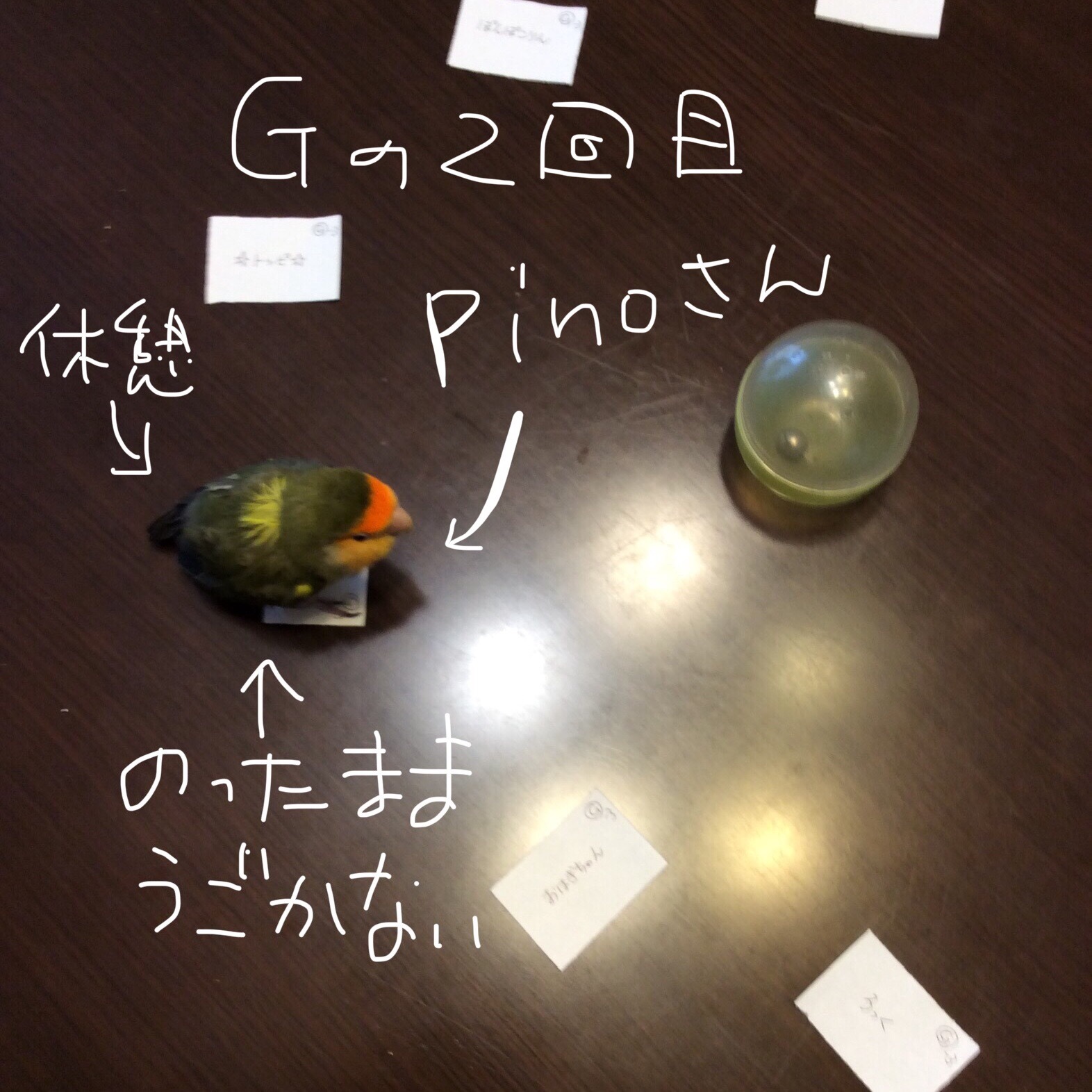 7月の通販ポンタロウ抽選・結果発表です!_d0123492_11352604.jpeg