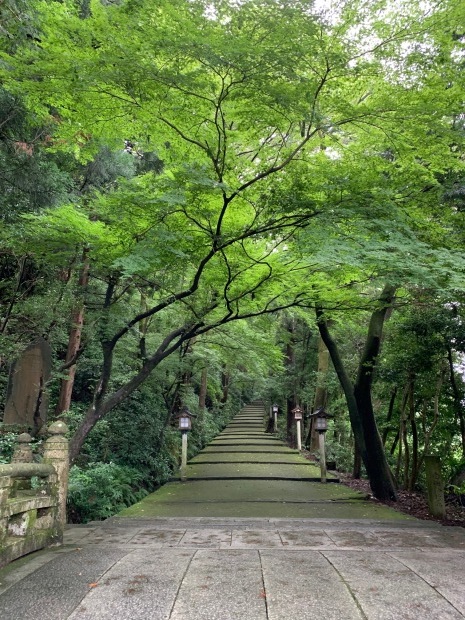 白山比咩神社参拝 Yukoの絵日記