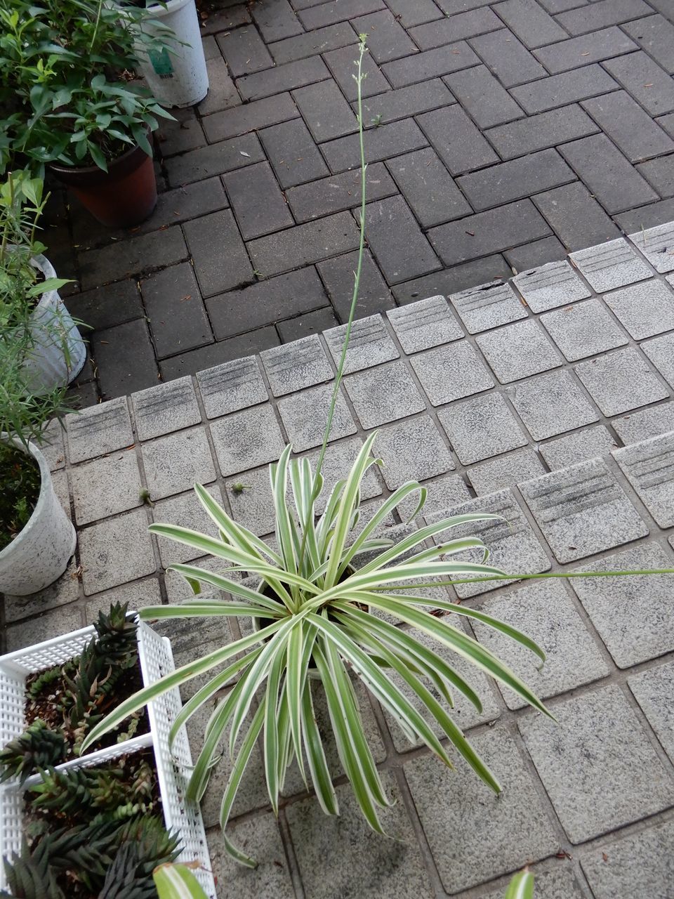 通り雨_c0025115_22204238.jpg