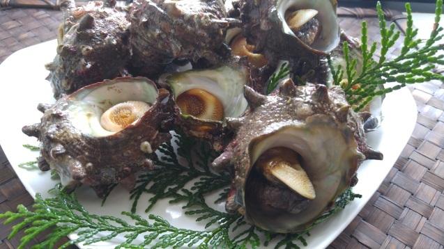 島根の恵み サザエ_c0124528_11490532.jpg