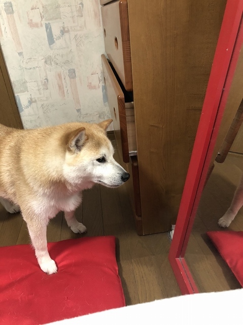 あなたは誰?_e0374932_08050401.jpg