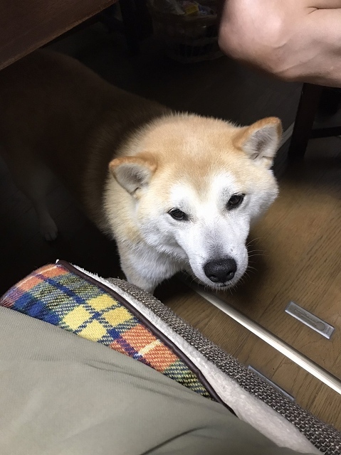 あなたは誰?_e0374932_08050691.jpg