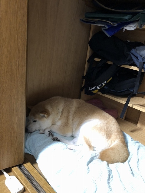 あなたは誰?_e0374932_08050830.jpg