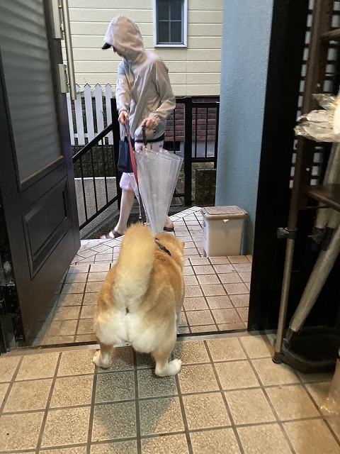 あなたは誰?_e0374932_08051129.jpg