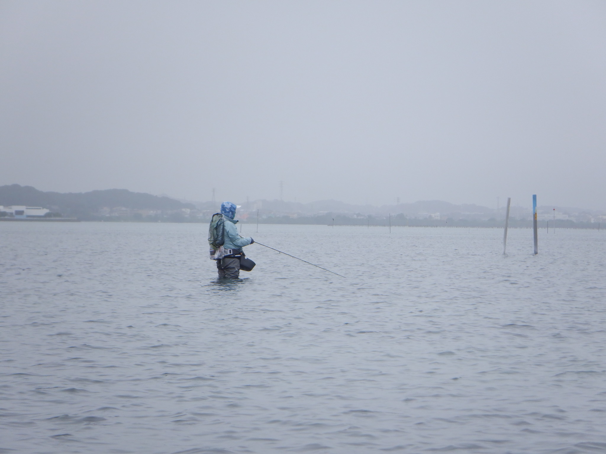 大雨の合間に行って来ました浜名湖クロダイフィッシングガイド Fly Fishing Total Support Teal