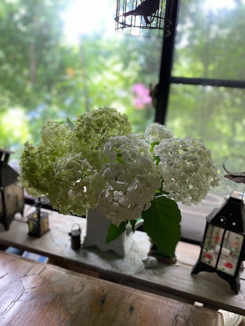 容赦ない雨です_b0396150_12522461.jpg