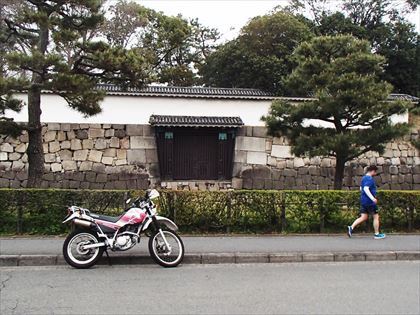世界文化遺産 二条城Ⅱ 日本100名城_e0044657_21232059.jpg