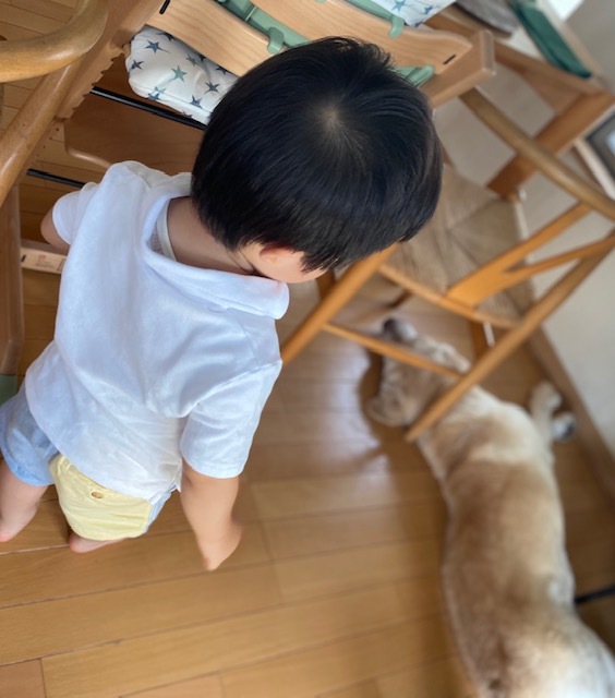 happy time 孫の笑顔に癒されて♡_a0165160_17523494.jpg