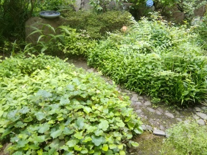 飄々と…_b0368362_03071480.jpg