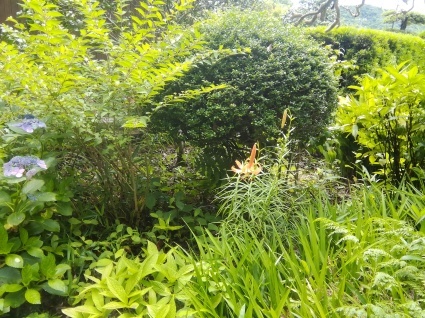 飄々と…_b0368362_03110644.jpg